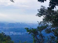 -紫金山山顶公园