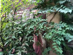 -三峡古玩城(泰古广场店)