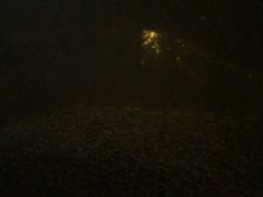 -三江森林温泉度假区