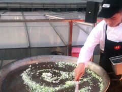 -TOMATITO(无限极荟店)