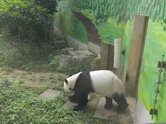 -柳州市动物园