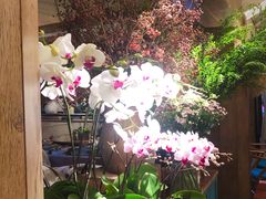 -春暖花开(西溪店)