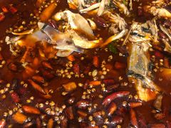 -味之绝热血美蛙鱼火锅(中坝店)