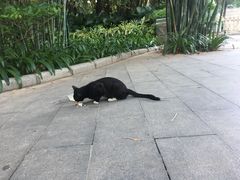 -晓港公园