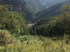 -牛背梁国家森林公园
