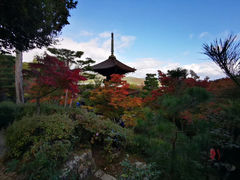 -常寂光寺