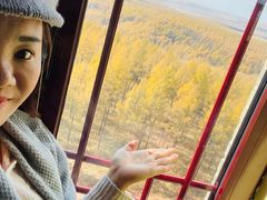 -塞罕坝国家级自然保护区