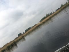 -白洋淀景区