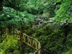 -龙苍沟森林公园