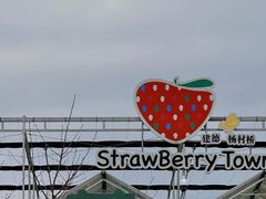 -建德果蔬乐园绪塘草莓基地