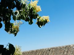 -鹫峰国家森林公园