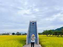 -风云岭森林公园