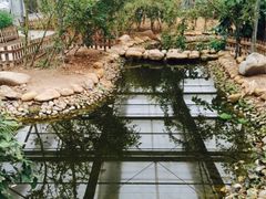 iphone_upload_pic-上海都市菜园