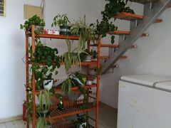 -宫品海参专卖店(静安大宁店)