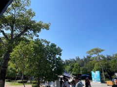 -广东惠东海龟国家级自然保护区