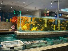 -韩鼎丰·韩国料理(林奥店)