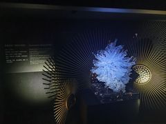 -深圳珠宝博物馆