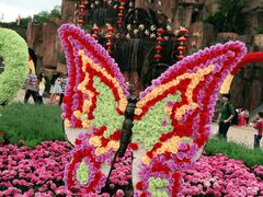 -松山湖梦幻百花洲