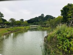 -王借岗森林公园