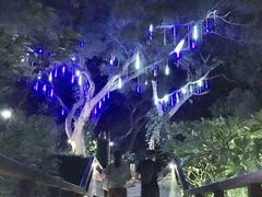 -草山夜未眠景观餐厅