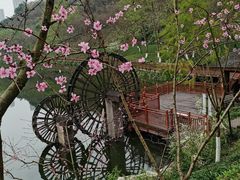 -重庆彩云湖湿地公园