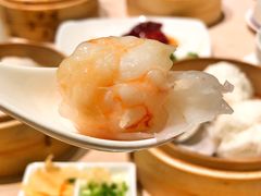 -陶陶居海鲜酒家(新马路店)