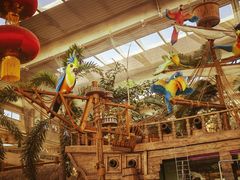 -南宫五洲植物乐园