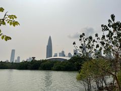 -深圳湾公园(南山区)