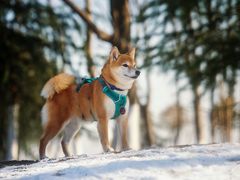 -钟山体育运动公园