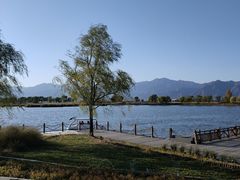 -野鸭湖国家湿地公园