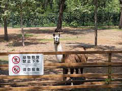 -秦皇岛野生动物园
