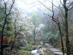 -浙北大峡谷