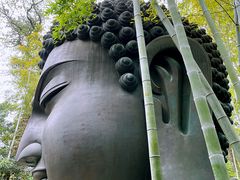 -杭州植物园