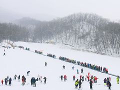 -五家山森林公园滑雪场