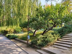 -元大都城垣遗址公园