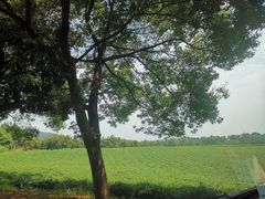 -敬亭山风景名胜区