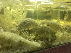 -桥东喜碧海鲜街(水东街店)
