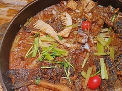 -老板恋上鱼(印象城店)