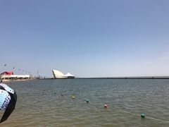 -碧海金沙