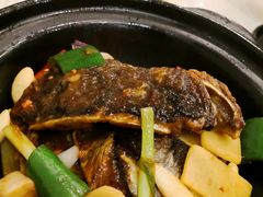 -寻味顺德·顺峰山庄(大良店)