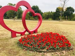 -梁鸿国家湿地公园