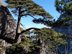 -黄山风景区