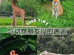 -南昌动物园