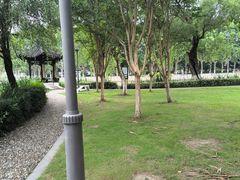 -泰州凤城河风景区-泰山公园