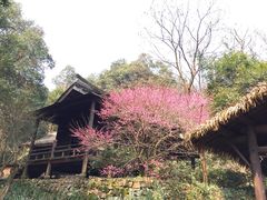 -黄公望隐居地