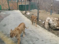 -栾川竹海野生动物园