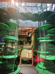 -恐龙探索乐园(磁器口店)