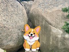 -崂山仰口游览区