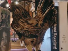 -俭寨大盘鸡·缸子肉·小公鸡·新疆菜(云通店)