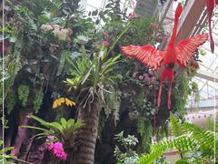 -正佳雨林生态植物园